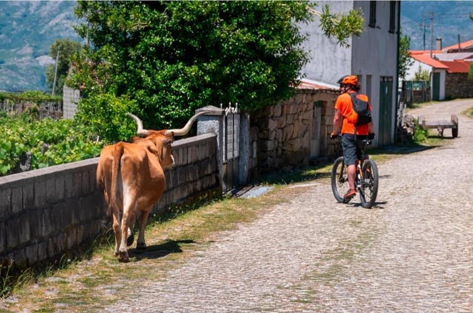 Olhares Do Lobo Villa Ponte da Barca Ngoại thất bức ảnh